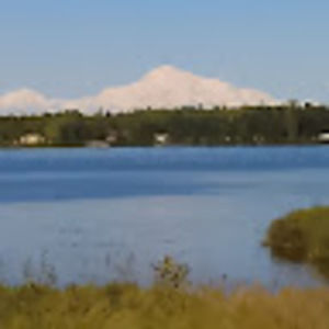 Meet your Posher, Rodney